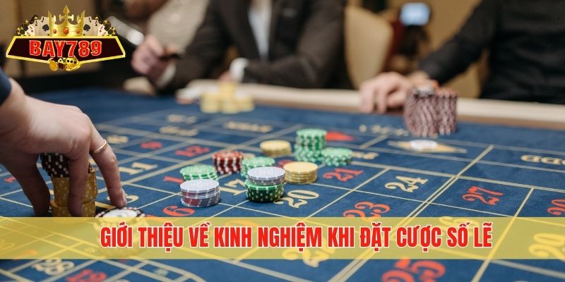 Giới thiệu về kinh nghiệm khi đặt cược số lẽ