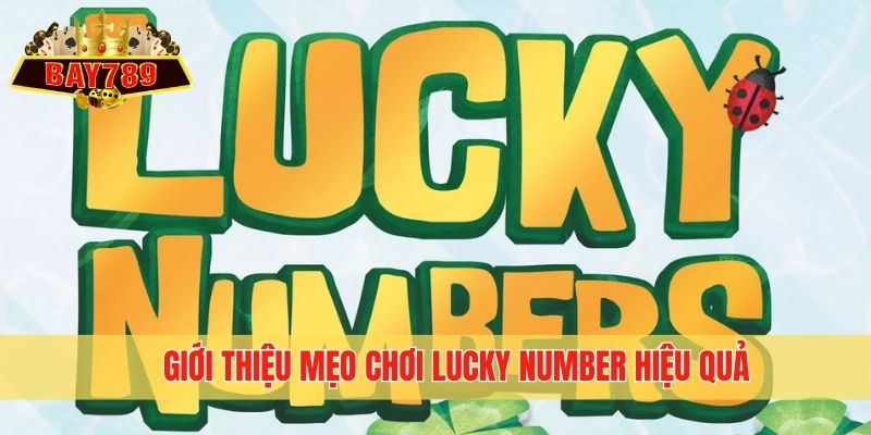 Giới thiệu mẹo chơi Lucky Number hiệu quả